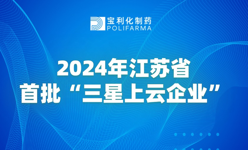 “物华天宝、趁云摘星”：宝利化公司荣获 2024 年度江苏省首批“三星级上云企业”